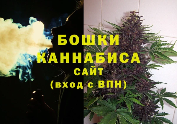 PSILOCYBIN Михайловск