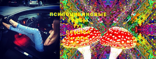 PSILOCYBIN Михайловск