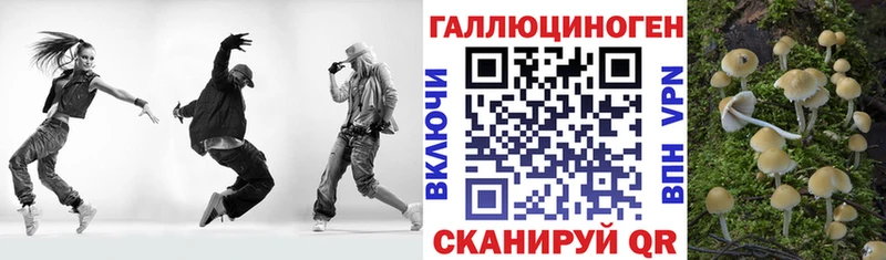 Галлюциногенные грибы Psilocybe blacksprut ссылки Ступино
